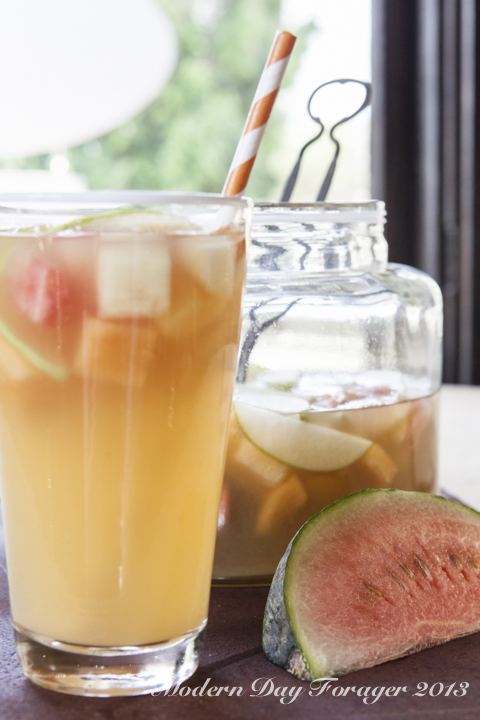 Melon Sangria by Modern Day Forager